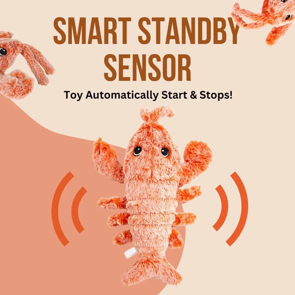 🔥Lobster Interactive Dog Toy
